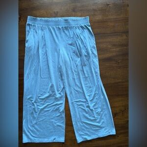 AnyBody Womens Pull On Elastic Waist Wide Leg Blue Cropped Pants Petite LP